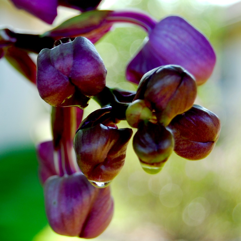 Meet your Posher, Marina